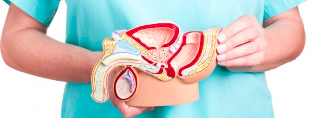 أسلوب حياة صحي